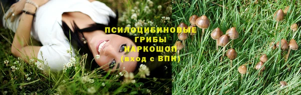 дживик Ростов